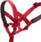 Trainingshalsbanden voor honden Company of Animals Halti Muilkorf (35-48 cm)