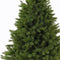 Triumph Tree Franse kunstkerstboom forest frosted - 365x208 groen