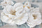 Schilderij Home ESPRIT Rozen Romantiek 120 x 3,7 x 80 cm (2 Stuks)