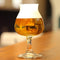 Royal Leerdam Specials Bierglas 250 ml - 6 stuks