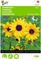 2 stuks - Buzzy - Helianthus Debilis Geel Stella