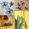 Saaf Pijpenragers - 100 stuks - Chenille Draad - 30 cm - Multicolor (100 stuks)