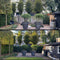 Hedera Hibernica - Klimop - Kant-en-Klaar Haag | 120cm - ↨150 cm