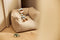Jollein Kinderfauteuil Teddy - 1 t/m 4 jaar - 46x36x40cm - Warm Sand