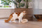 Designed by Lotte Winni - Kattenspeelgoed - Hout - Wiebelend effect - Bruin - 22x22x30 cm