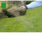 BHS Rustiek gras - Graszaad - Bestand tegen barre weersomstandigheden - Rood (3 kg)