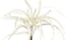 PTMD Tillandsia Blad Kunsttak - 30 x 30 x 29 cm - Wit