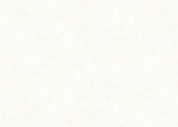 Zijdevloeipapier Folia 50x70cm 20g nr00 wit set à 5vel | 10 stuks