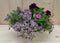 Zinken bak zomerbloeiers roze/paars dia. 30 cm