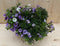 Zinken bakje zomerbloeiers paars/blauw dia. 20 cm