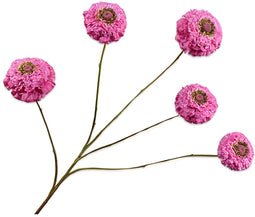 Zinnia tak lavendel 91 cm Silk-Ka