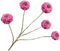 Zinnia tak lavendel 91 cm Silk-Ka