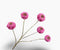 Zinnia tak lavendel 91 cm Silk-Ka