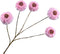 Zinnia tak roze 91 cm Silk-Ka