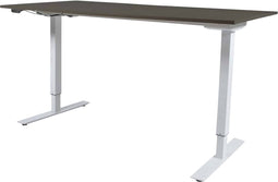 Zit Sta Bureau - Elektrisch 180x80 robson - zwart frame