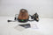 Calor Pro Express Vision - Stoomgenerator - 3000W 750g/min Durilium AirGlide