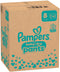Pampers Baby-Dry Pants - Luierbroekjes Maat 8 - 3x Bescherming - 117 stuks
