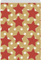 Verpakkingszakjes stars in the sky 12x19cm 200 stuks