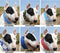 Aqua Coolkeeper collar - pacific blue - XXL