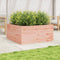 vidaXL - Plantenbak - 100x100x46 - cm - massief - douglashout