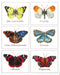 Thea Gouverneur - Borduurpakket met telpatroon - 2037A - Voorgesorteerde DMC Garens - Vlinders - Aida - 37 cm x 46 cm - DIY Kit