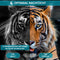 Exclusive by TW - Wildcamera - 4K Full HD - Nachtzicht - IP66 Waterdicht - 16 MP - Groen