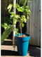Bloempot Riss 53 cm Blauw Plastic