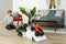 Monster Jam El Toro Loco - RC Voertuig - Schaal 1:24 - 2,4 GHz - Kleur El Toro Loco