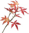 Silk-ka Kunstbloem-Kunsttak Esdoorn Tak Rood 78 cm