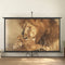 vidaXL - Projectiescherm - met - statief - 1:1 - 89''