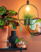 Mica Decorations Phoenix - Wandspiegel - Ø58 cm met plankje - Zwart