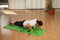 Schildkröt Fitness Optrekstang - Deur Pull-Up Bar Met Diverse Functies - Staal - Groen/Antraciet