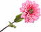 Silk-ka Kunstbloem Nepbloem Zijden bloem Zinnia Steel Roze Lt 136310