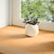 vidaXL - Vensterbanken - 2 - st - 70x30x2 - cm - massief - eikenhout - lichtbruin