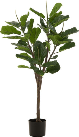 J-Line Vioolbladplant - kunststof - groen