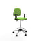 Piqueras y Crespo B1D05RF - Bureaustoel - Hoogteverstelbaar met armleuning - Pistache