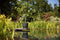 Elho Greenville Rond 55 - Grote Bloempot Buiten - Waterreservoir - 100% Gerecycled Plastic - Ø 55 x H 50 cm - Living black