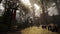 Warhammer 40.000 - End Times - Vermintide - Xbox One X enhanced - 4K Ultra HD