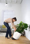 LECHUZA Coaster - Plantenroller voor CLASSICO 60 | CUBE 50 - diameter: 36 cm