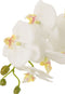 J-Line plant Orchidee In Aarde - kunststof - wit/groen - large
