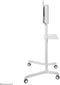 Neomounts NS-M1250WHITE - Vloerstandaard - Geschikt voor schermen t/m 70