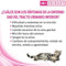 Pro Plan Veterinary Diets Feline Ur Urinary Kip - Kattenvoer - 5 kg