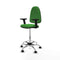 Piqueras y Crespo B2D05RF - Bureaustoel - Hoogteverstelbaar met armleuning - Groen