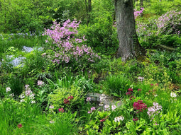 Customize it - Tuinschilderij lentetuin 70x50cm