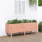 vidaXL - Plantenbak - verhoogd - 160x50x57 - cm - massief - grenenhout - douglas