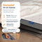 Best Life Vouwbed 90x200 - Logeerbed met Matras - Plooibed - Opklapbed 1 Persoons