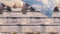 Zo!Home Gary - Dekbedovertrek - Tweepersoons - 200x200/220 cm + 2 kussenslopen 60x70 cm - Multi kleur