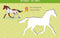 Zo teken je paarden - 12 sjabloonkaarten / Dessine des chevaux – 12 cartes pochoirs