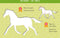 Zo teken je paarden - 12 sjabloonkaarten / Dessine des chevaux – 12 cartes pochoirs