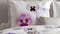 Zohome Britt - Dekbedovertrek - Lits-jumeaux - 240x200/220 cm + 2 kussenslopen 60x70 cm - Purple